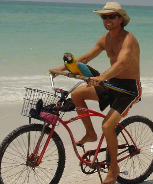 ITOF - A man with a macaw bird riding a bicycle